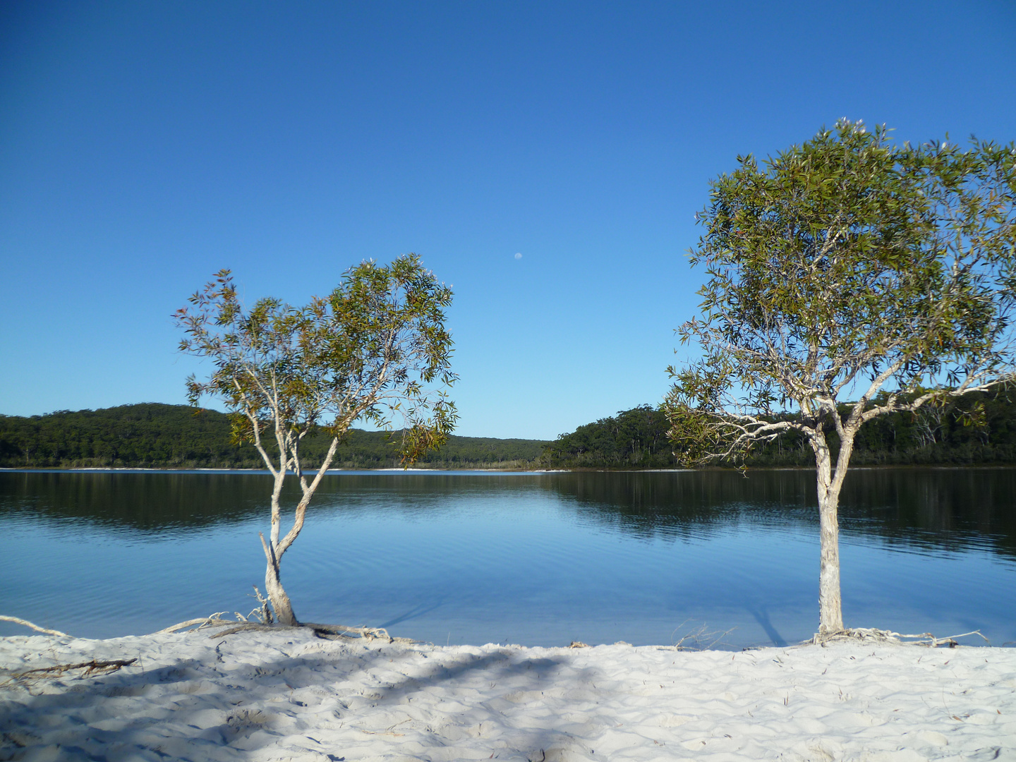 Lake McKenzie auf Fraser Island