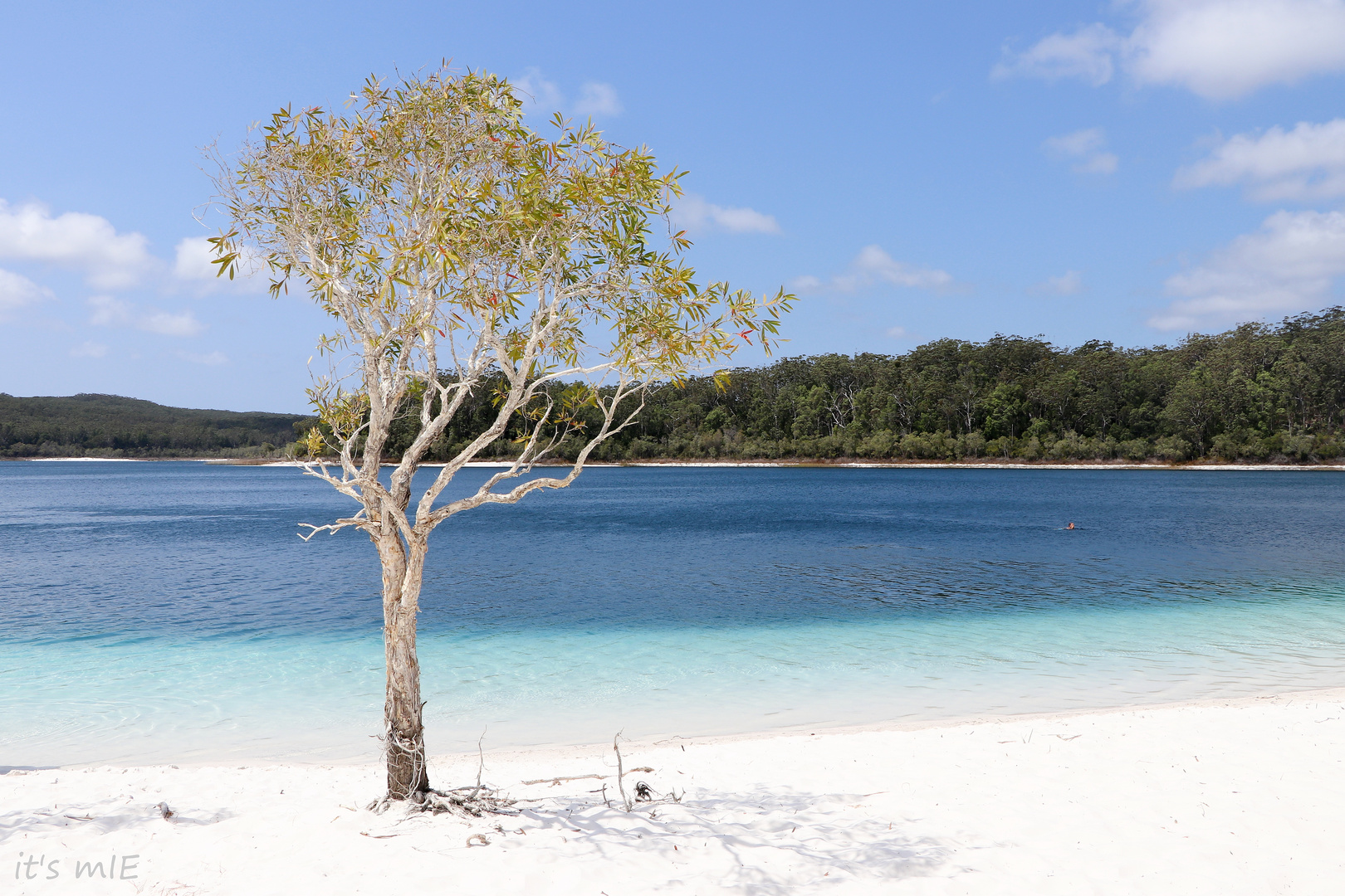 Lake McKenzie, Fraser Island (Australien)