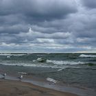 Lake Michigan Brooding