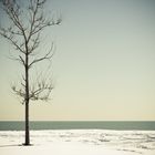 Lake Michigan Winter