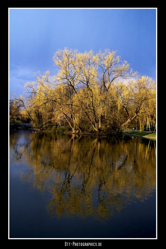 Lake Mirror