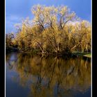 Lake Mirror