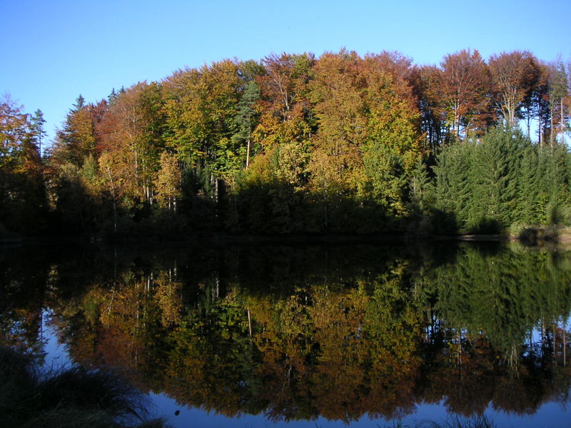 lake mirror