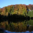 lake mirror