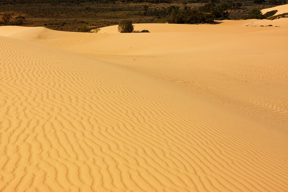 Lake Mungo