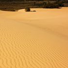 Lake Mungo