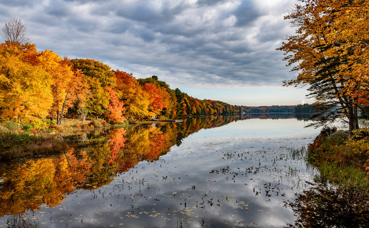 Lake Muskoka