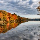 Lake Muskoka