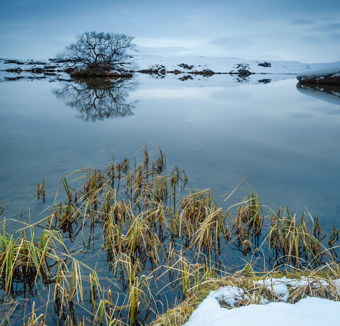 Lake Myvatn