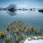 Lake Myvatn