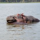 Lake Naivasha