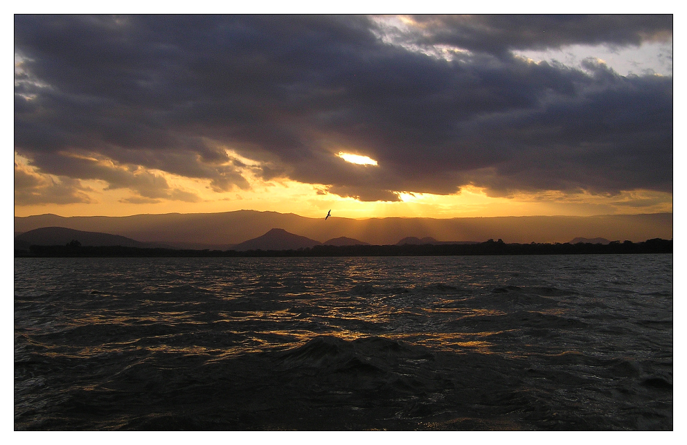 Lake Naivasha