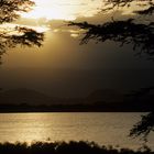 Lake Naivasha