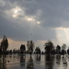 Lake Naivasha