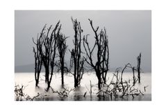  Lake Naivasha 