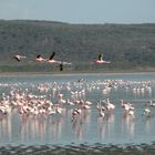 Lake Nakuru