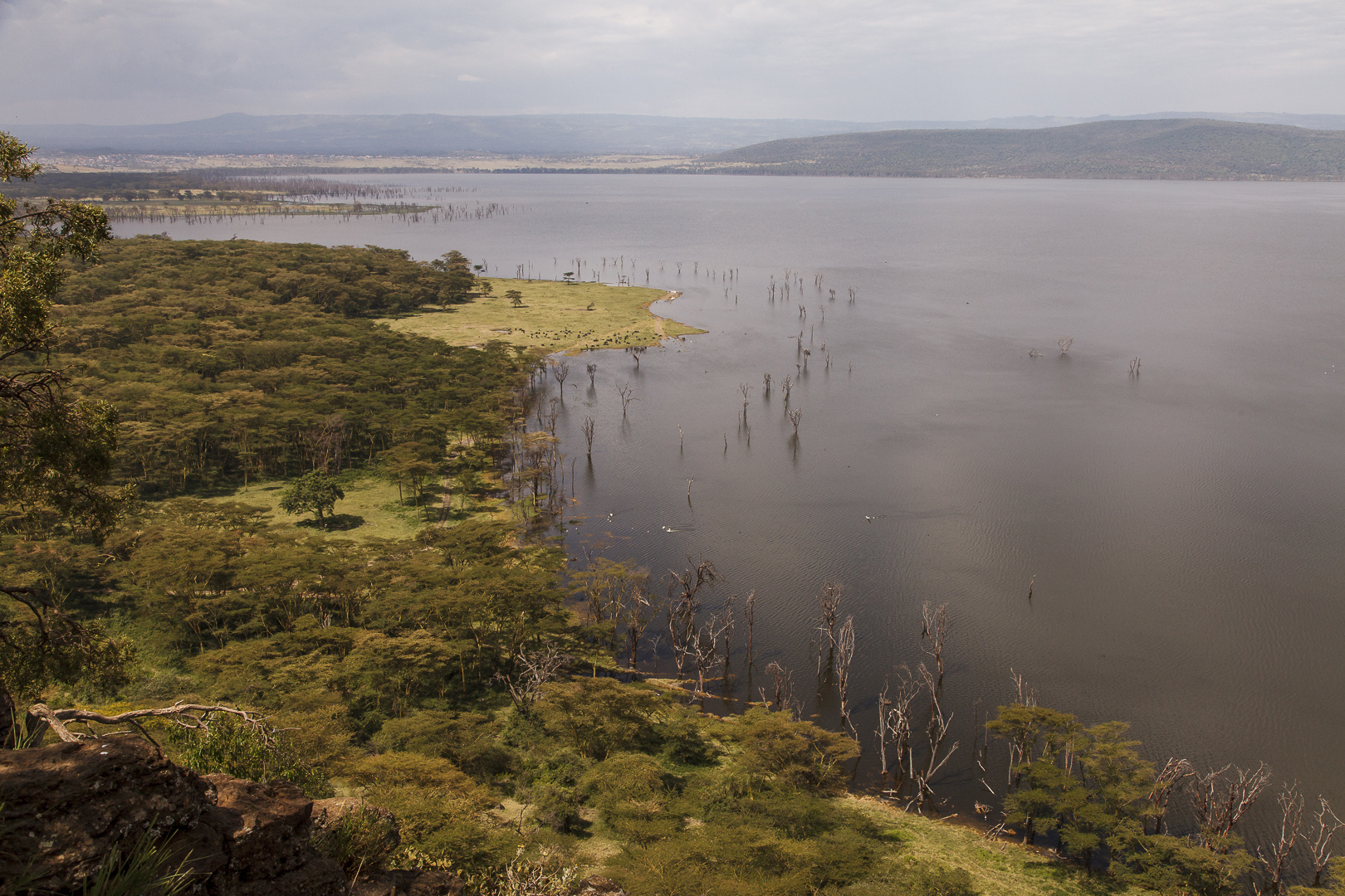 Lake Nakuru