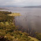 Lake Nakuru