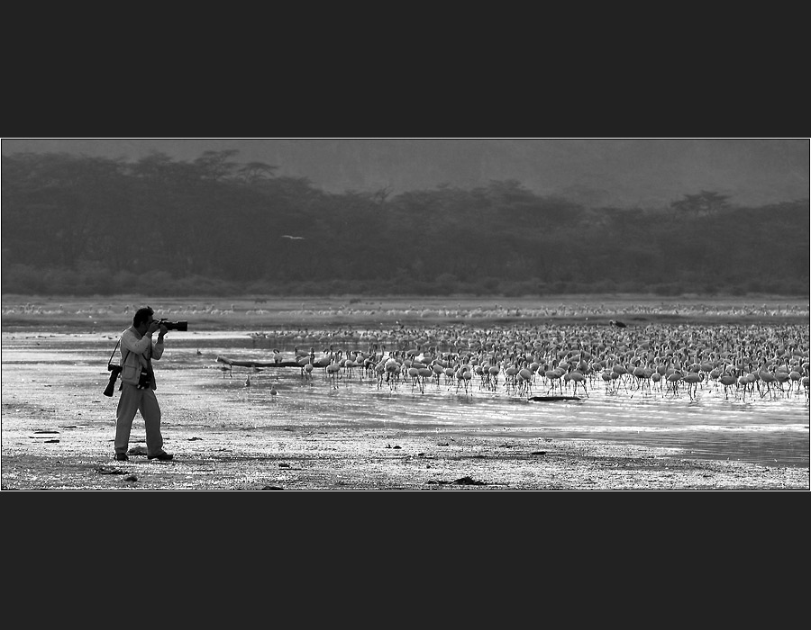 Lake Nakuru