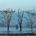 Lake Nakuru