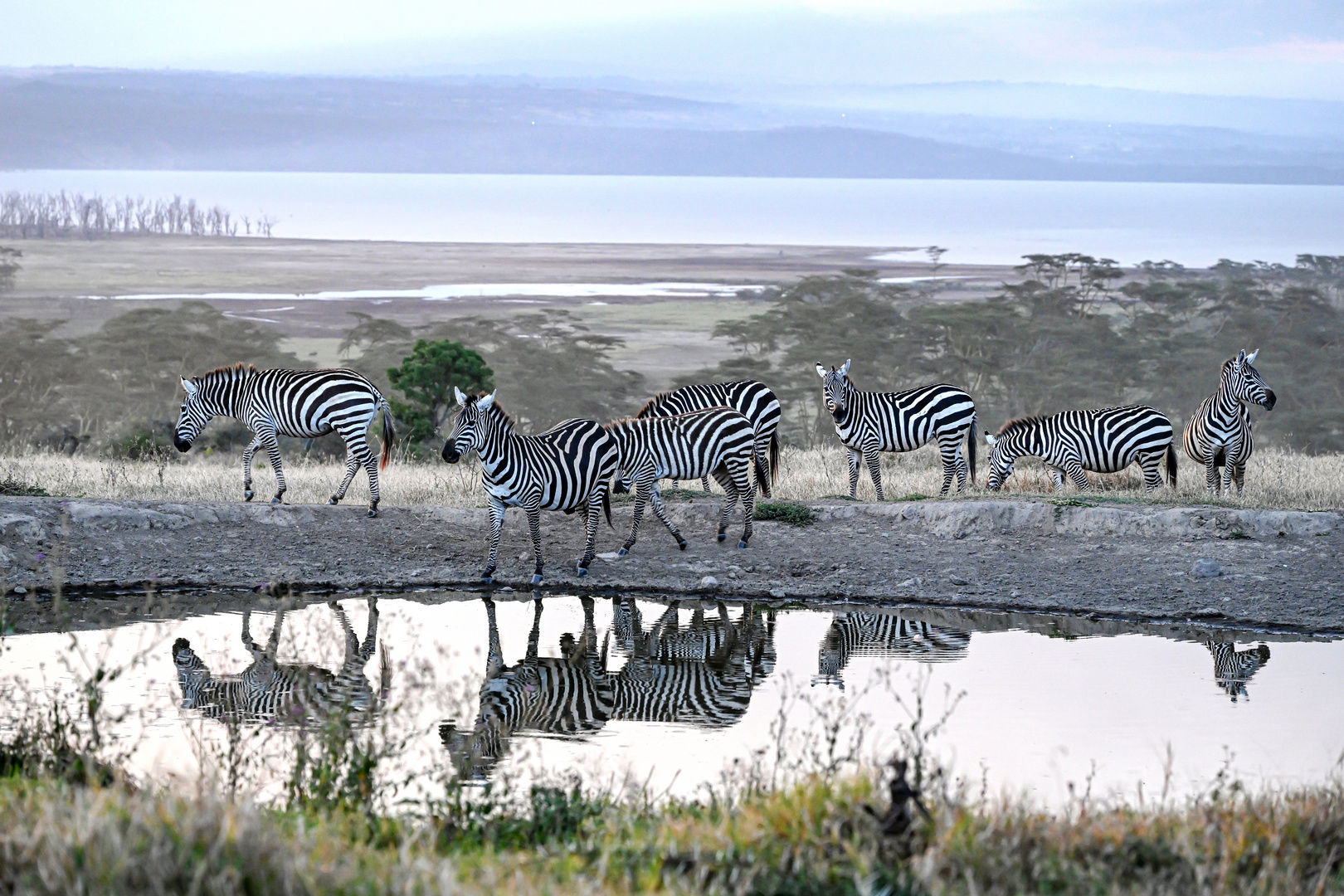 Lake Nakuru