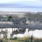 Lake Nakuru