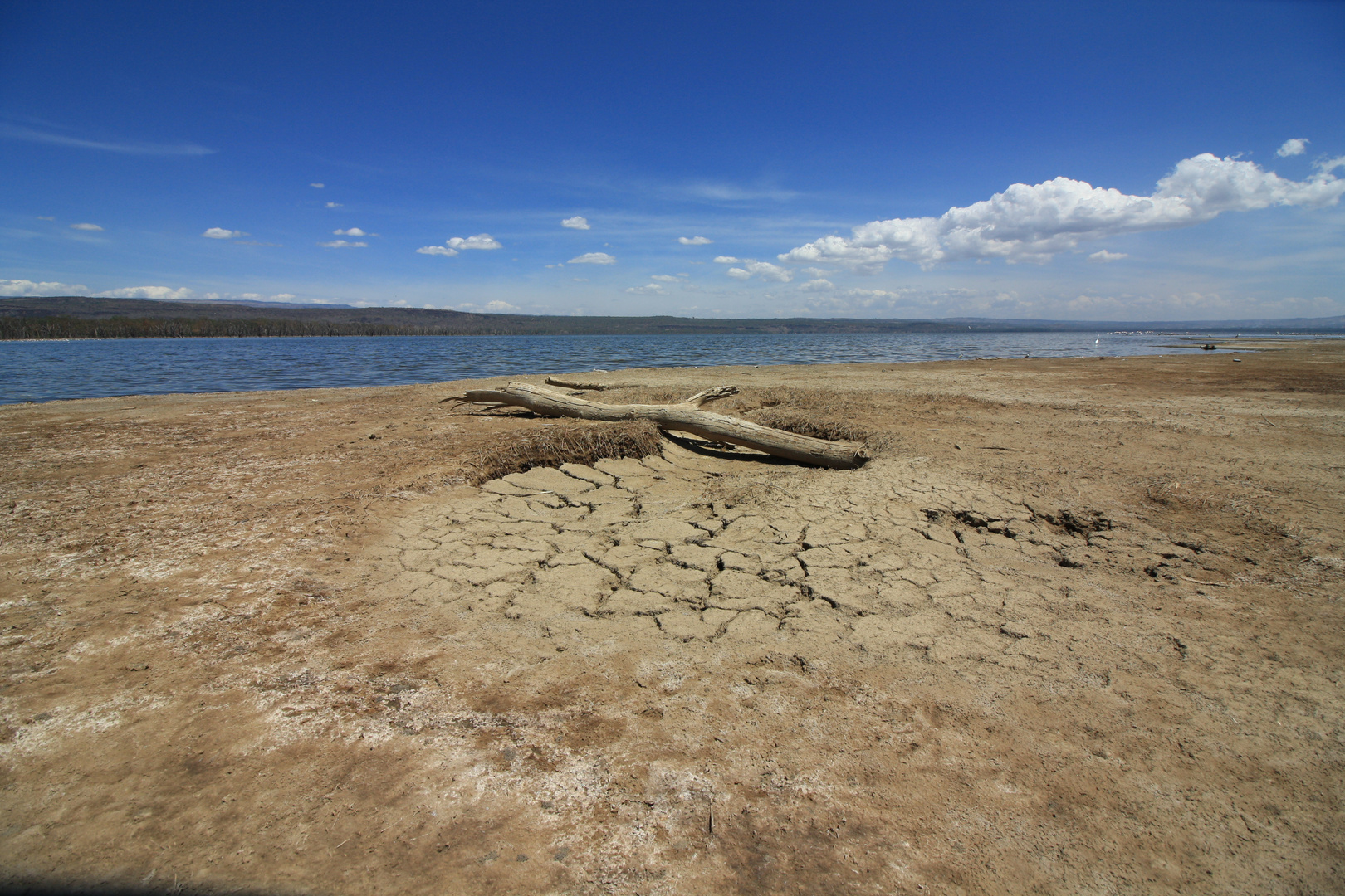 Lake Nakuru