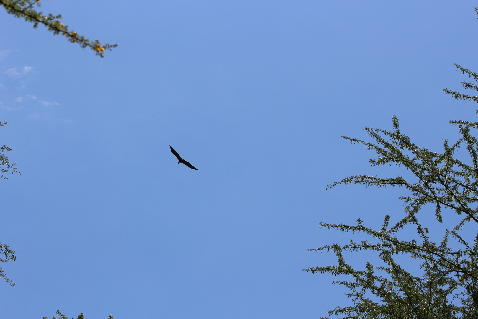 Lake Nakuru National Park