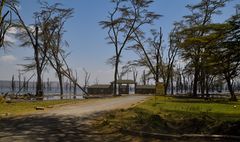 Lake Nakuru National Park