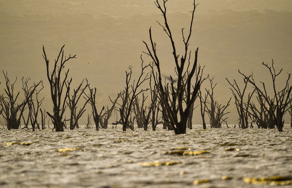 Lake Nakuru-Süd