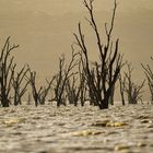 Lake Nakuru-Süd