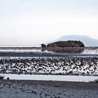 Lake Natron...