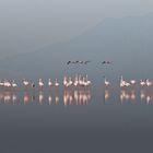 LAKE NATRON processione