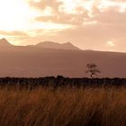 Lake Natron / Tansania