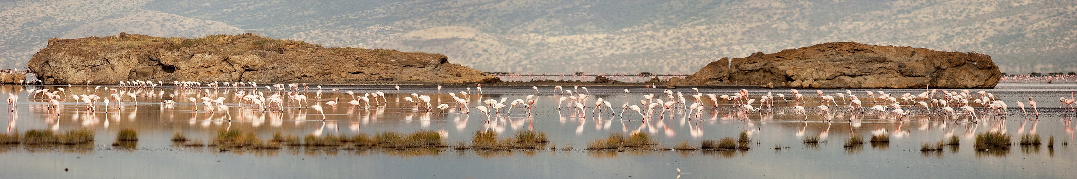 LAKE NATRON the "strip"