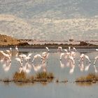 LAKE NATRON the "strip"