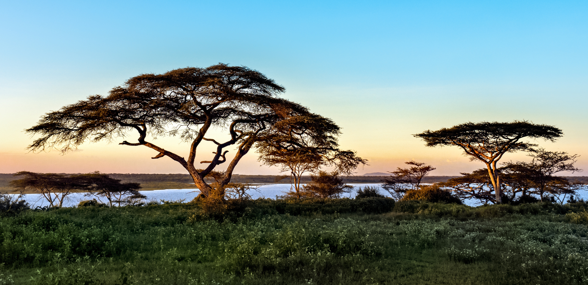 Lake Ndutu