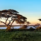 Lake Ndutu