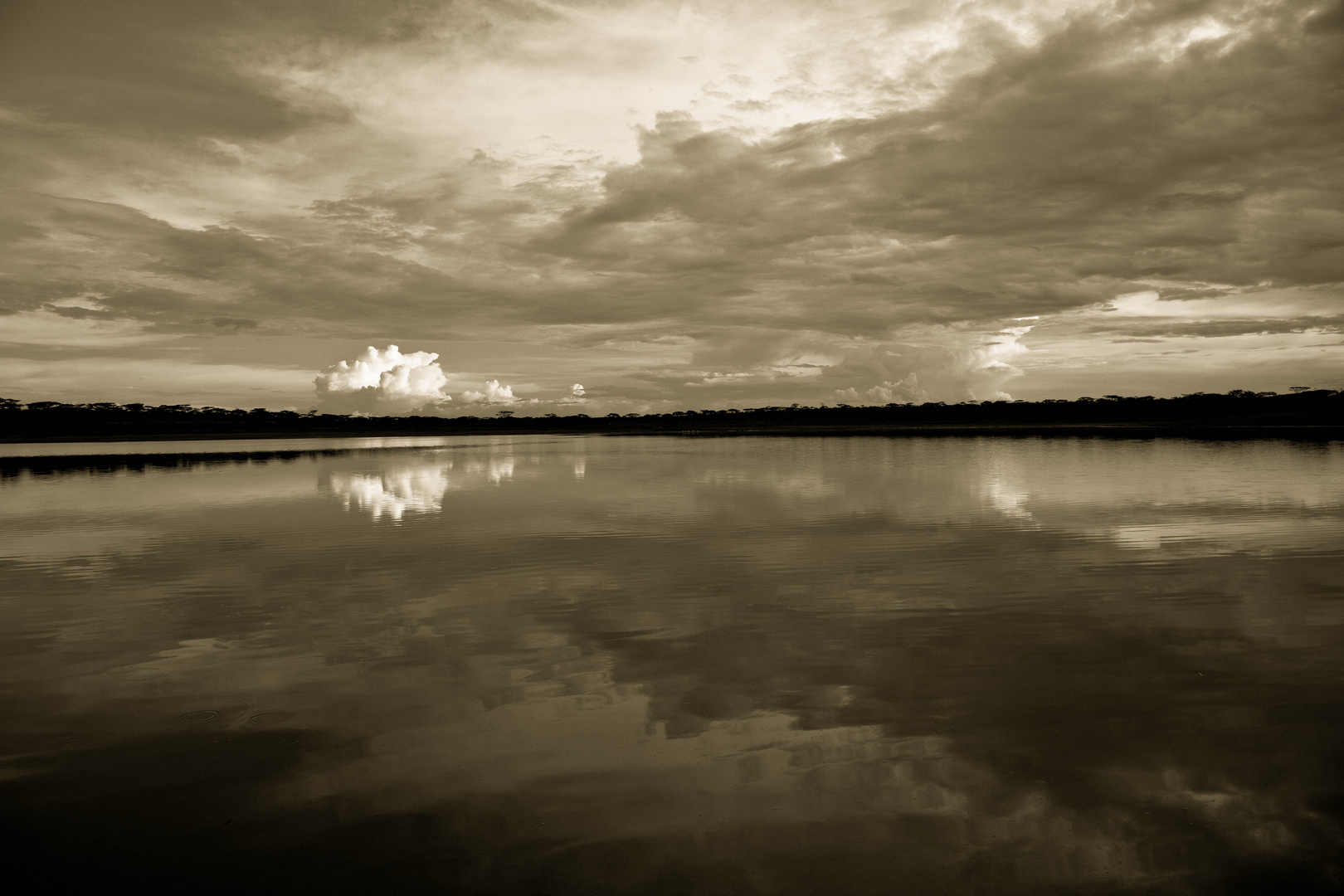 Lake Ndutu, Tanzania