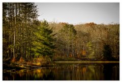 Lake Ocquttunk at Stokes State Forest