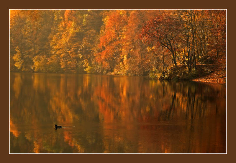 Lake of Colors