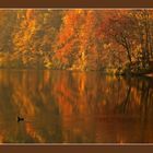 Lake of Colors