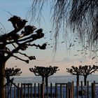 Lake of Constance Light and Shadow