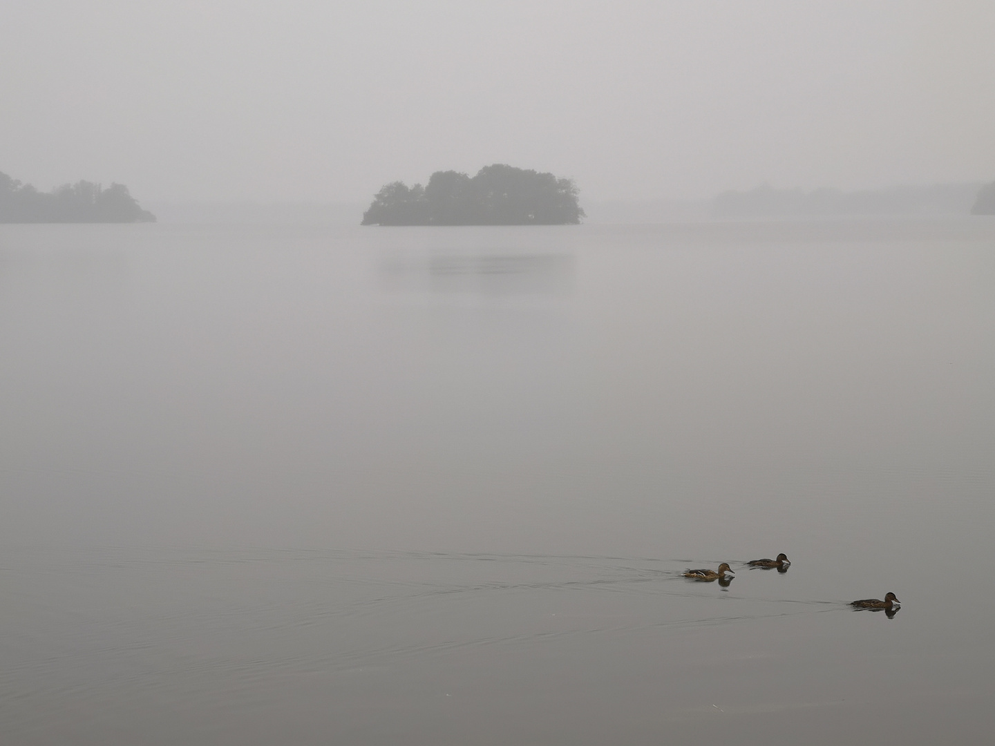 Lake of emotions