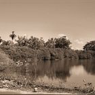 Lake of Lagoon in Minitán / Mexico