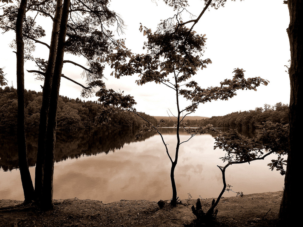 Lake of Silence