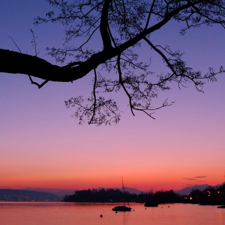 Lake of Zurich