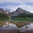 Lake O’Hara /1/