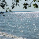 Lake Ontario