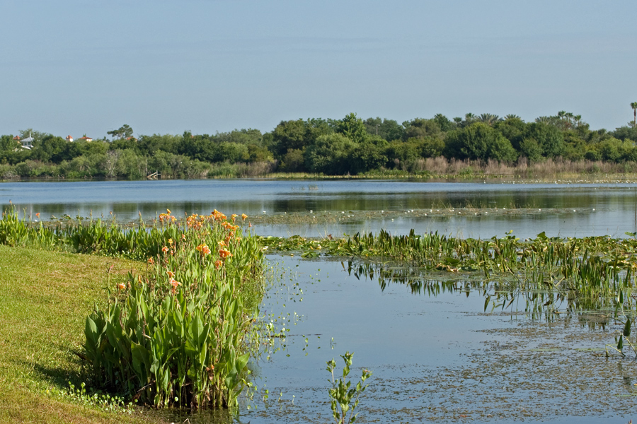 Lake Osprey...